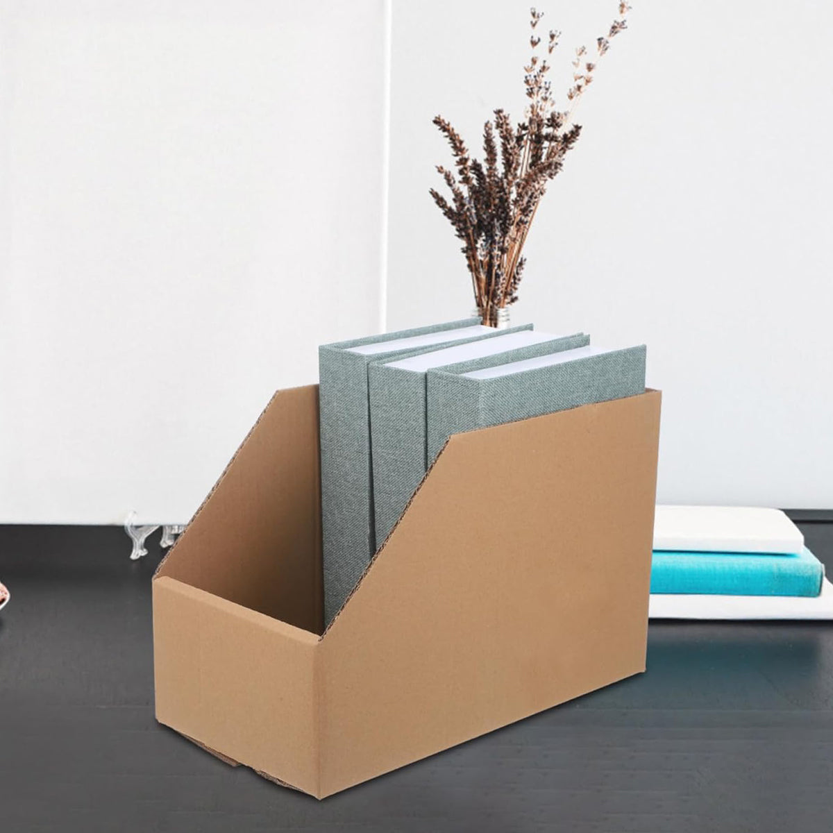 10 Pcs Slanted Cardboard Storage Boxes Shelf Sorting