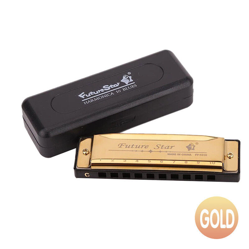 10 Hole Harmonica Blues Musical Instrument Key of C