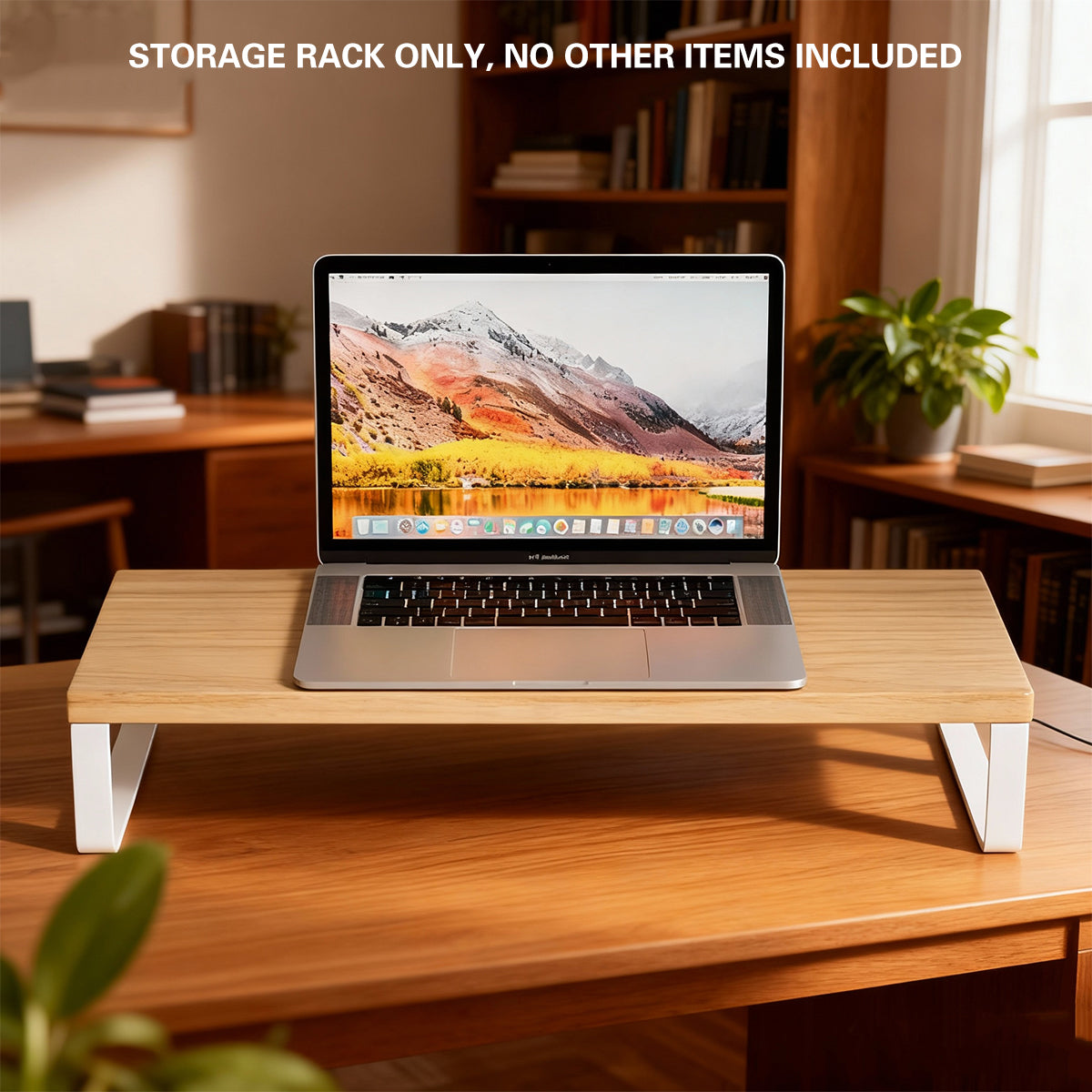 Monitor Stand Riser with Under-Shelf Storage
