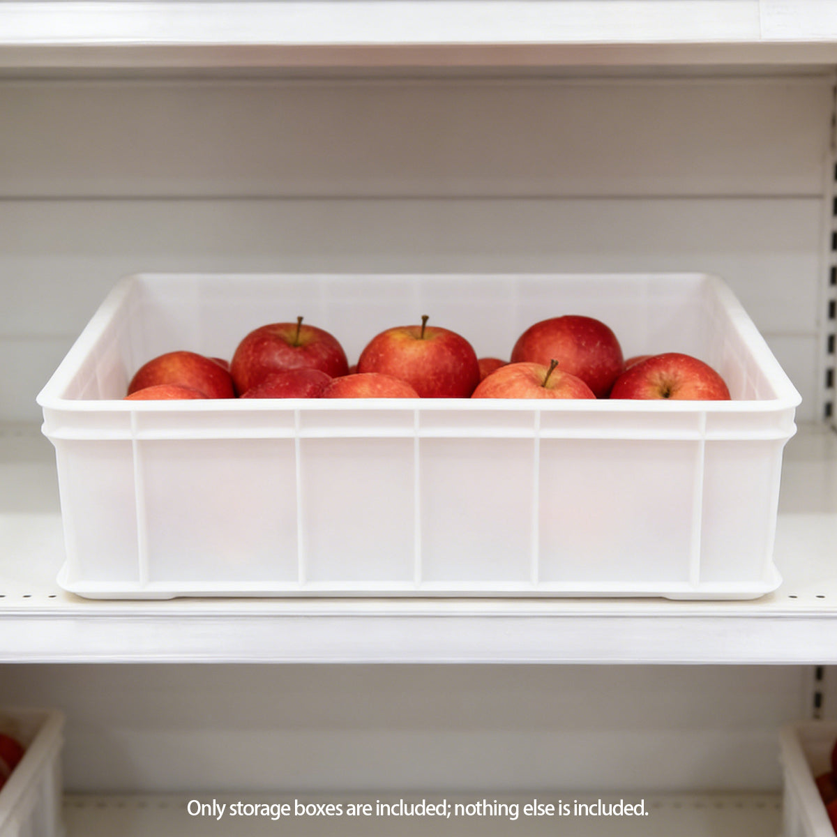 2 Pcs Plastic Storage Boxes with Side Handles