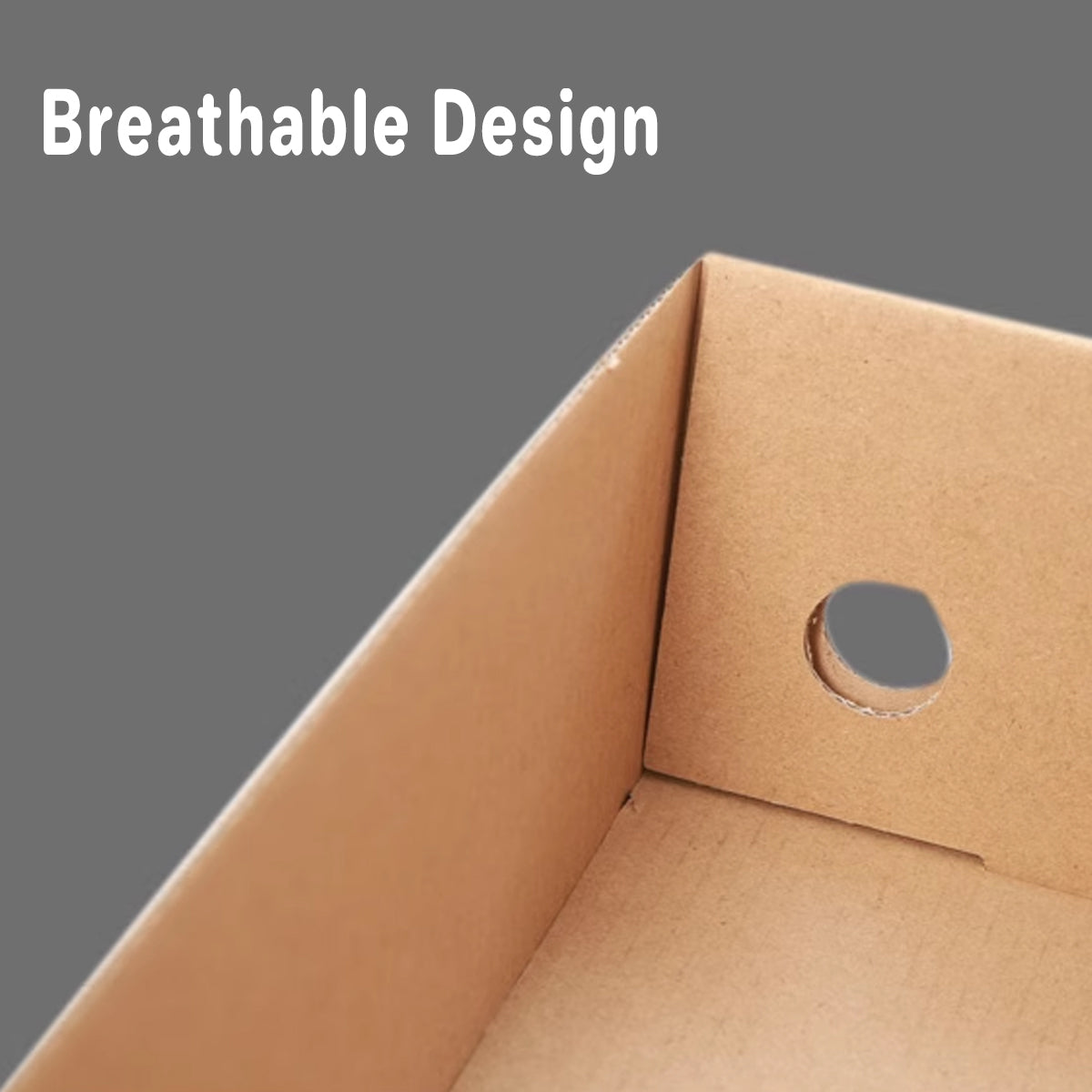 20pcs Kraft Paper Shoe Boxes Clamshell Organizer