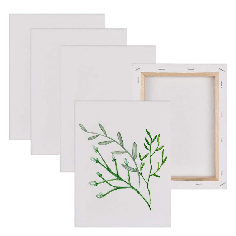 5 Pcs Blank Stretched Canvas Cotton Triple Gesso Primed Acid-Free