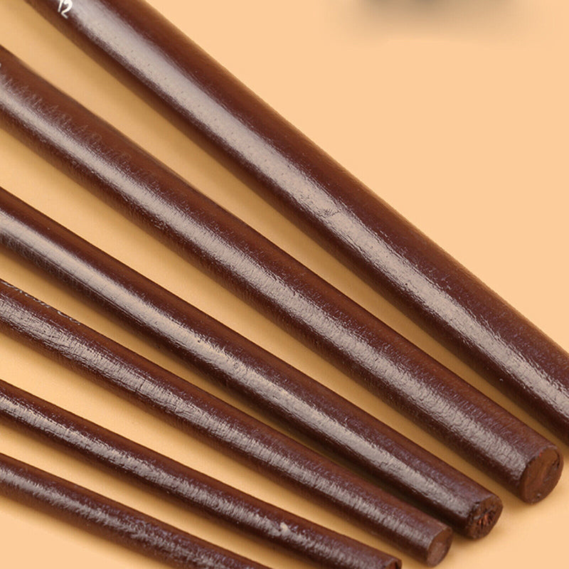 6 Pcs Art Paint Brush Set Nylon Brushes for Acrylic Oil Watercolor