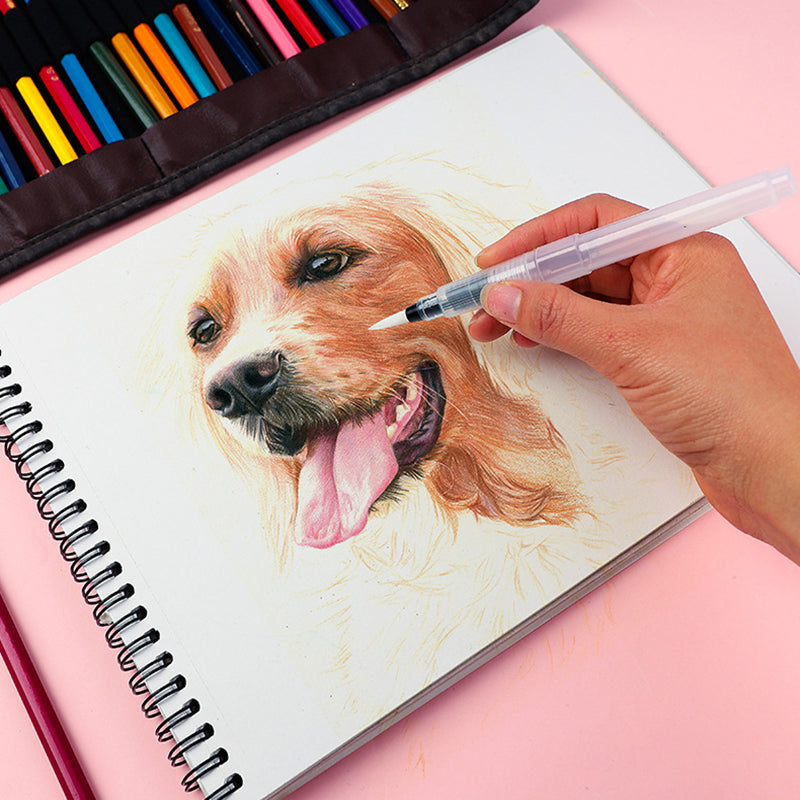 6x Artist Ink Water Brush Pen Set for Watercolor Calligraphy Painting Drawing