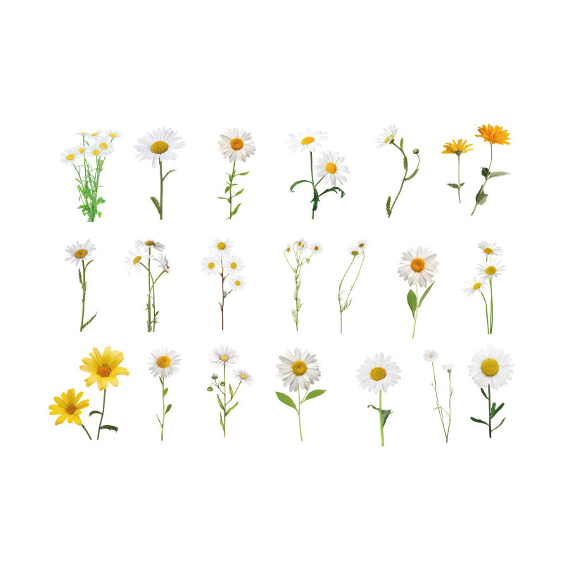 40 Pcs PET Transparent Flower Stickers Scrapbooking Set