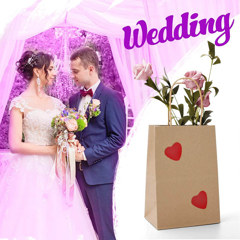 50pcs Kraft Paper Gift Bags with Rope Handles