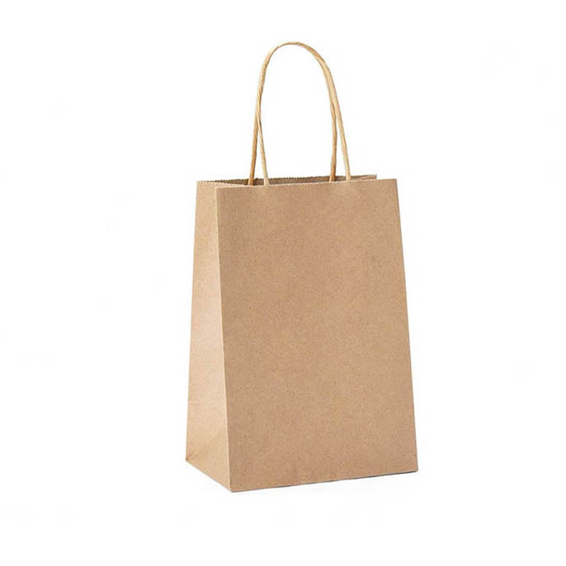 50pcs Kraft Paper Gift Bags with Rope Handles