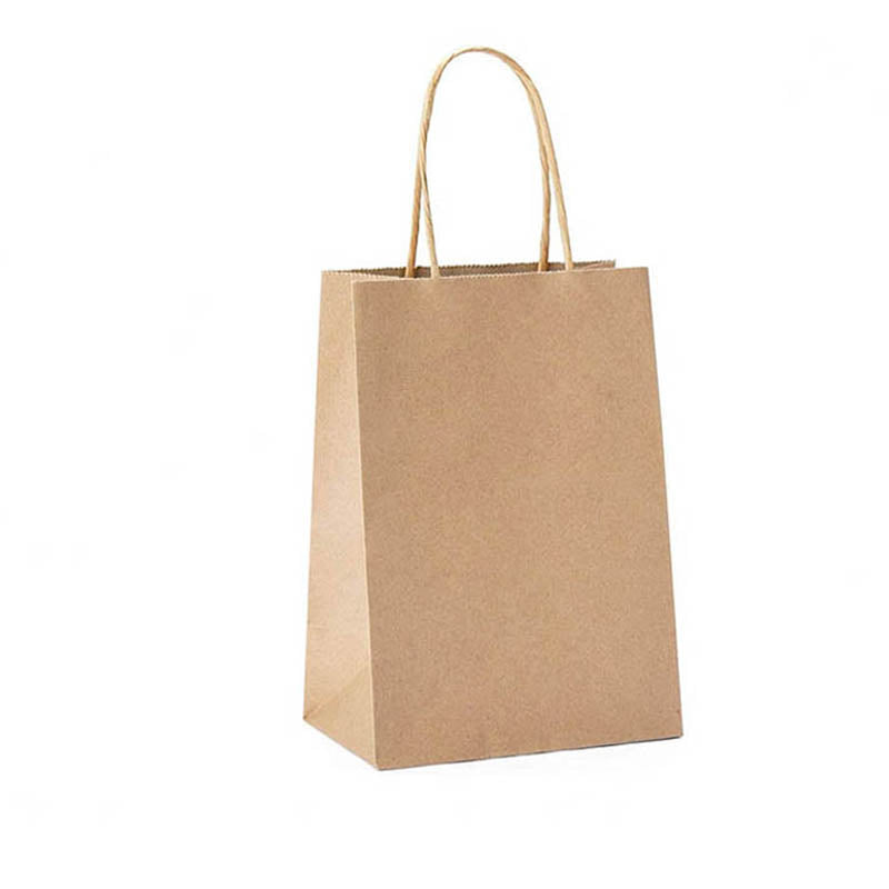 50pcs Kraft Paper Gift Bags with Rope Handles