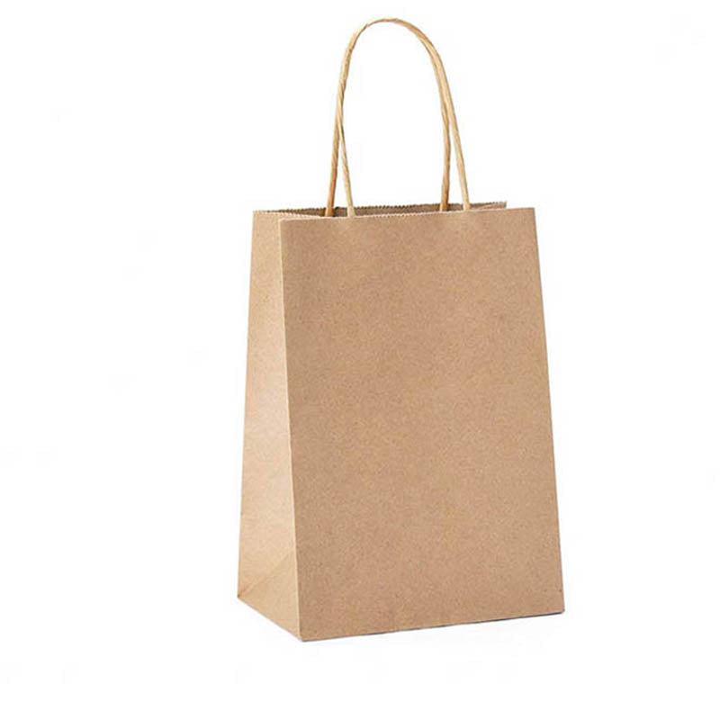 50pcs Kraft Paper Gift Bags with Rope Handles
