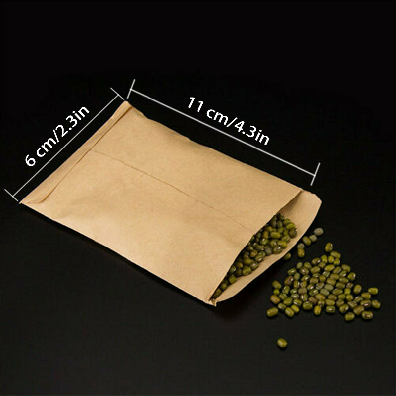 100 Pcs Kraft Paper Seed Packets Mini Storage Envelopes
