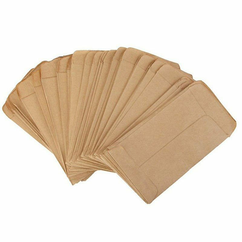 100 Pcs Kraft Paper Seed Packets Mini Storage Envelopes