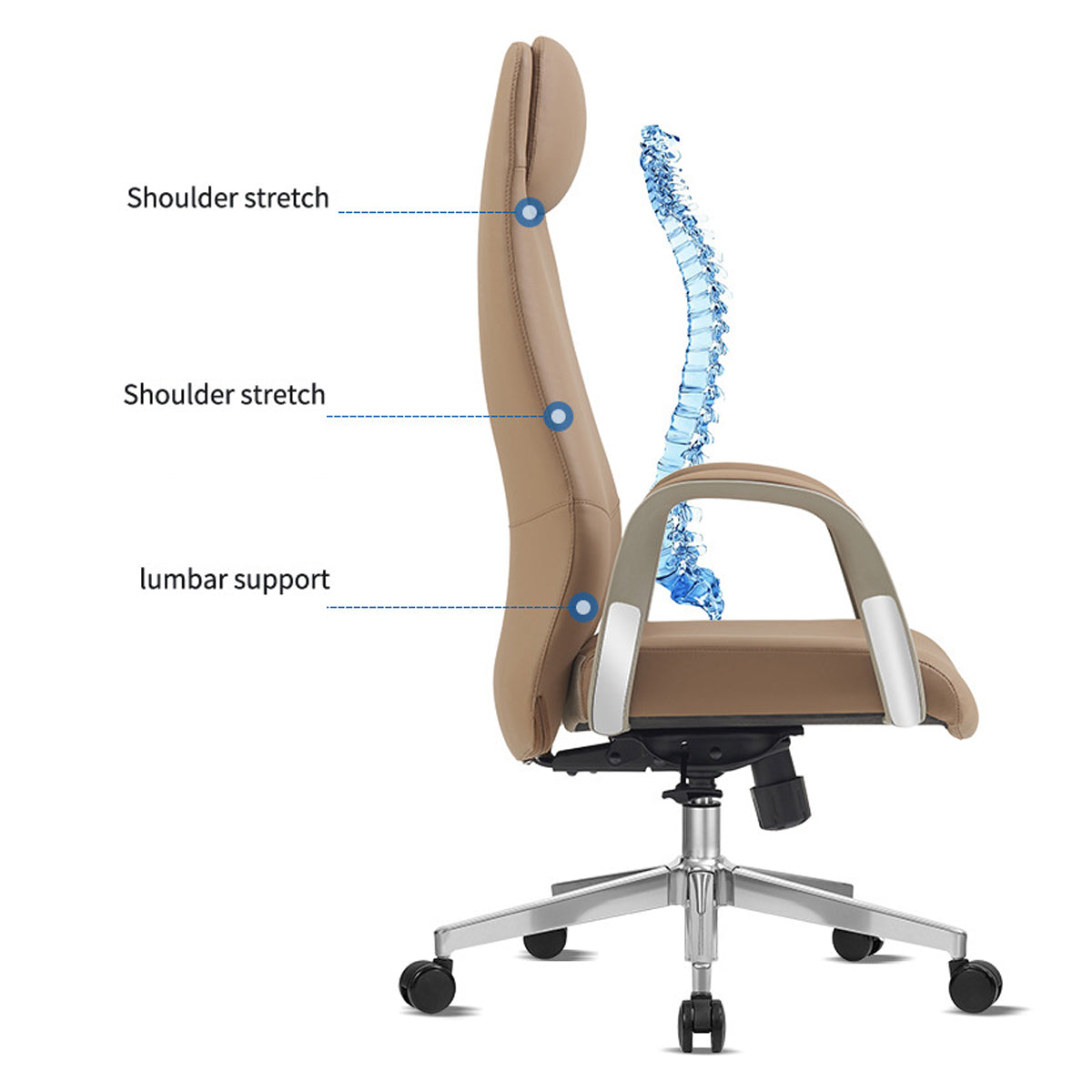 Ergonomic Office Chair Adjustable Height and Swivel