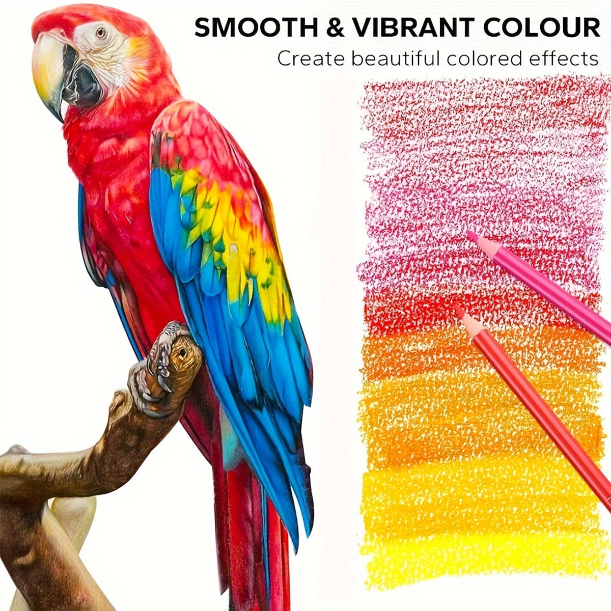 48 or 200 Colours Oil-Based Coloured Pencils with Wooden Barrels