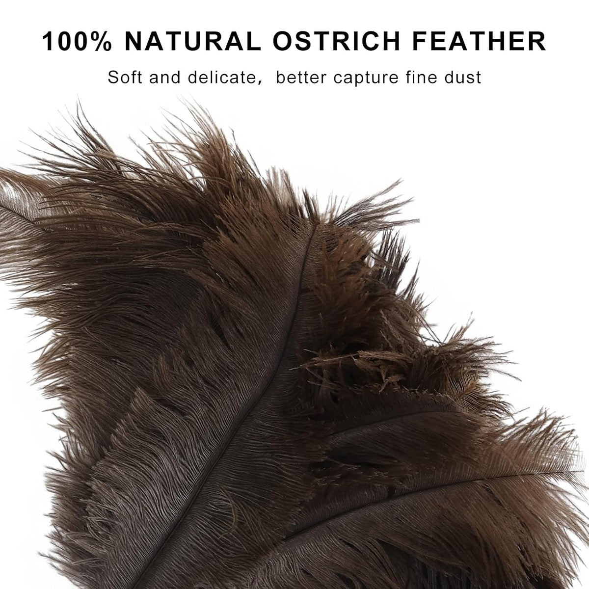 Ostrich Feather Duster with Strap for Home Cleaning