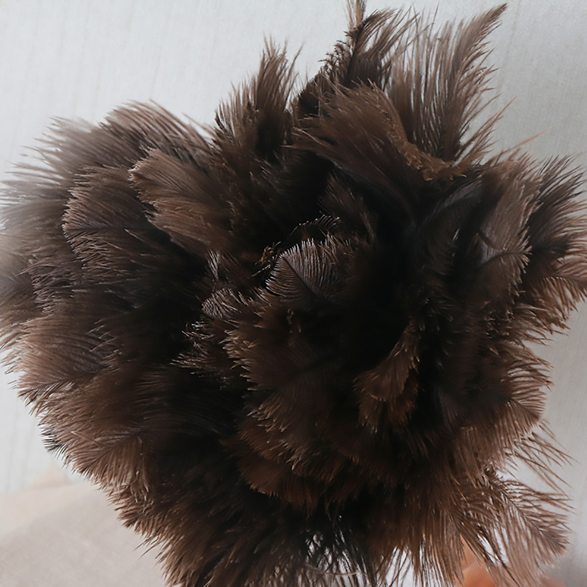 Ostrich Feather Duster with Strap for Home Cleaning