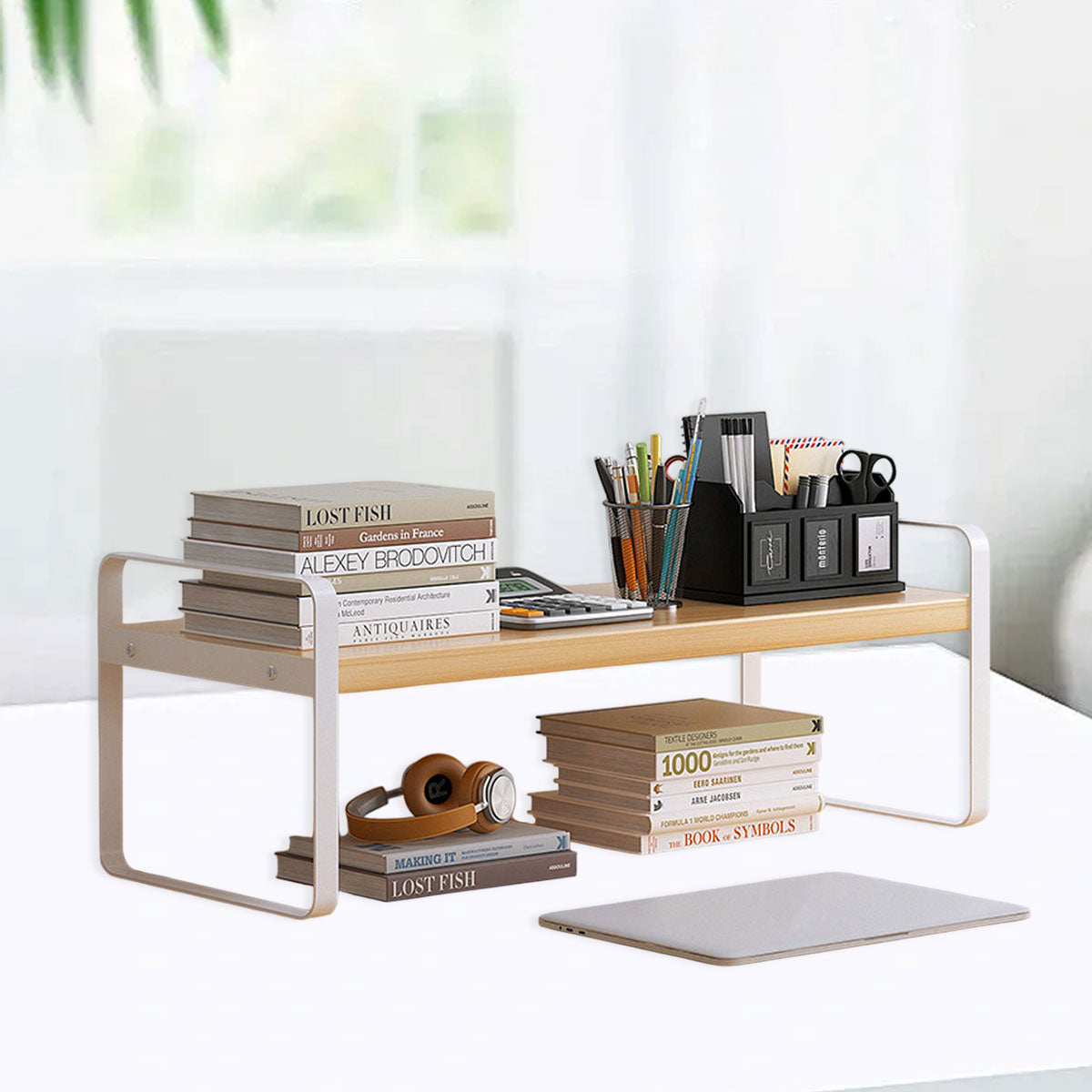 Double Layer Desktop Storage Shelf Desktop Organizer