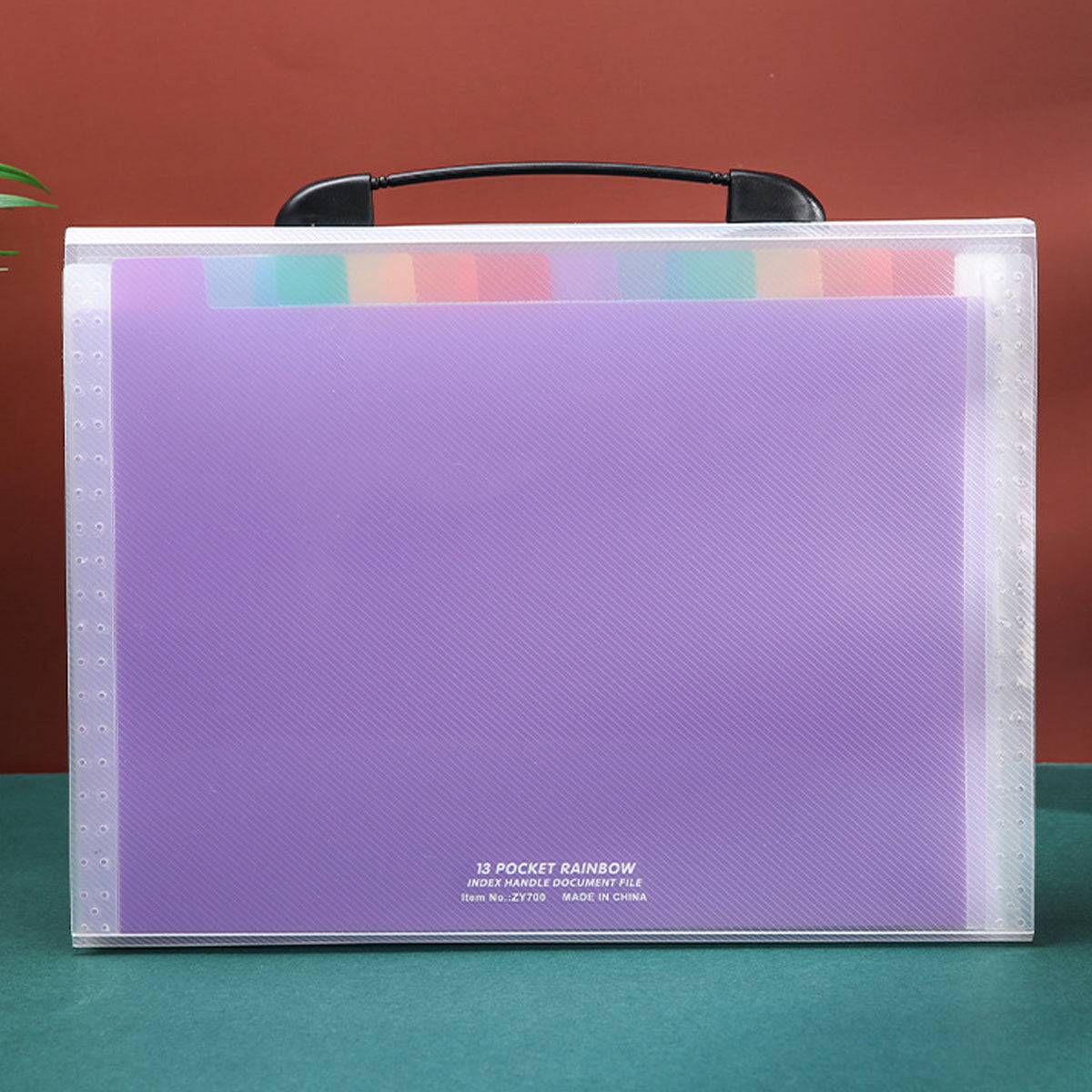 A4 Accordion File Folder 13 Pockets with Handle Buckle PP