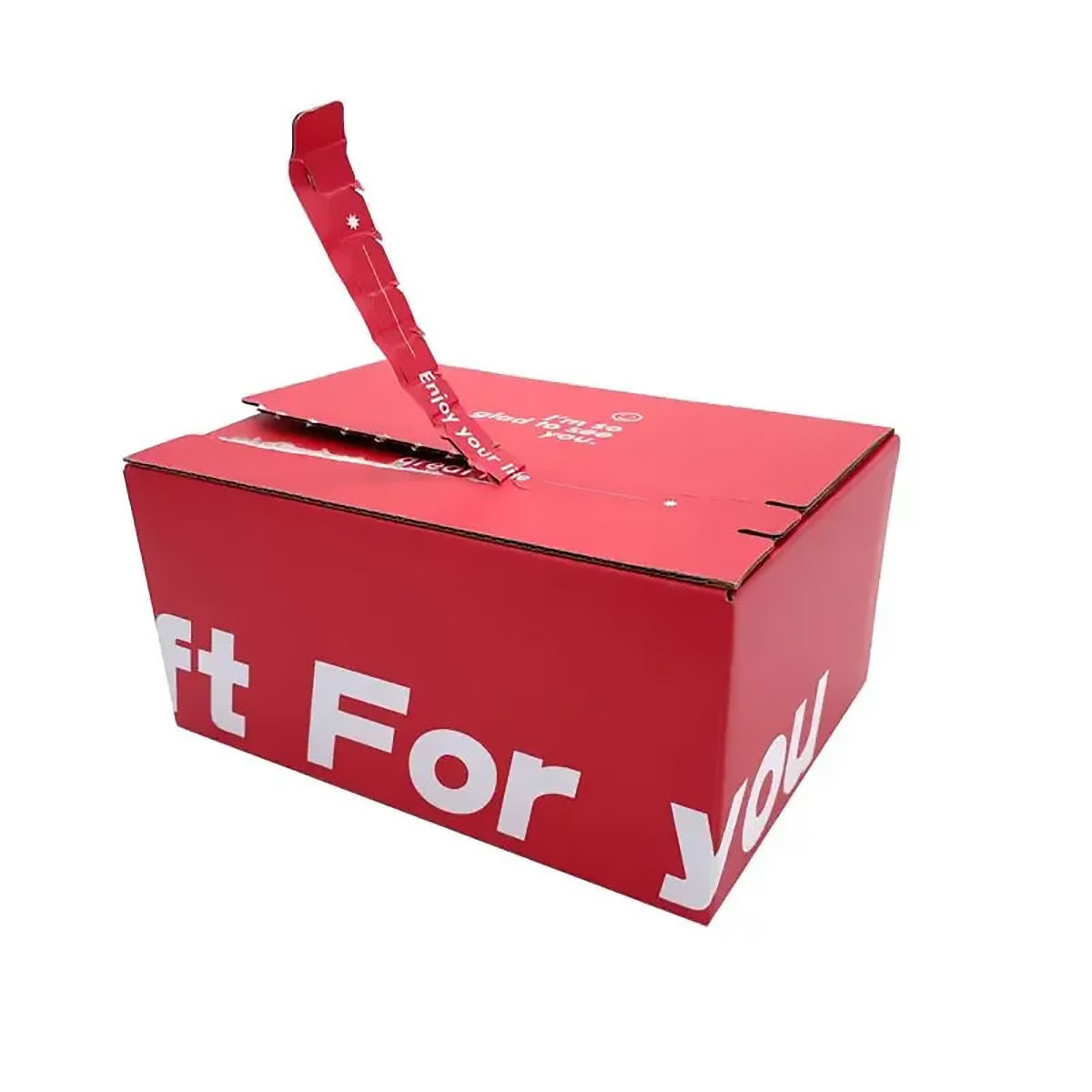 10 Pcs Corrugated Cardboard Boxes with Zipper Closure