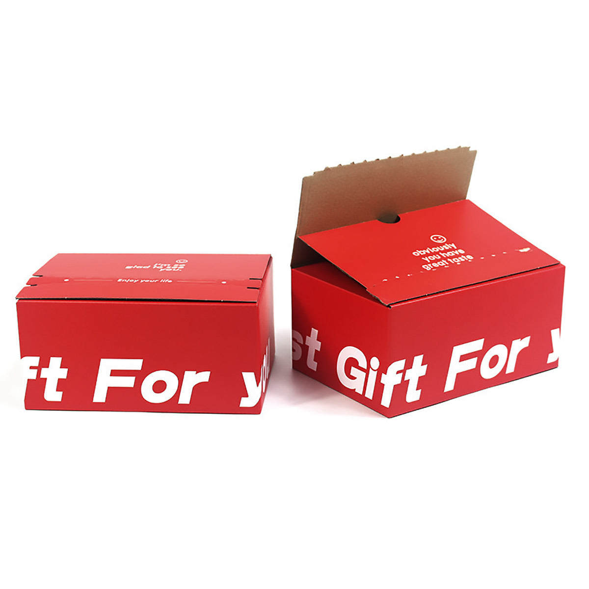 10 Pcs Corrugated Cardboard Boxes with Zipper Closure