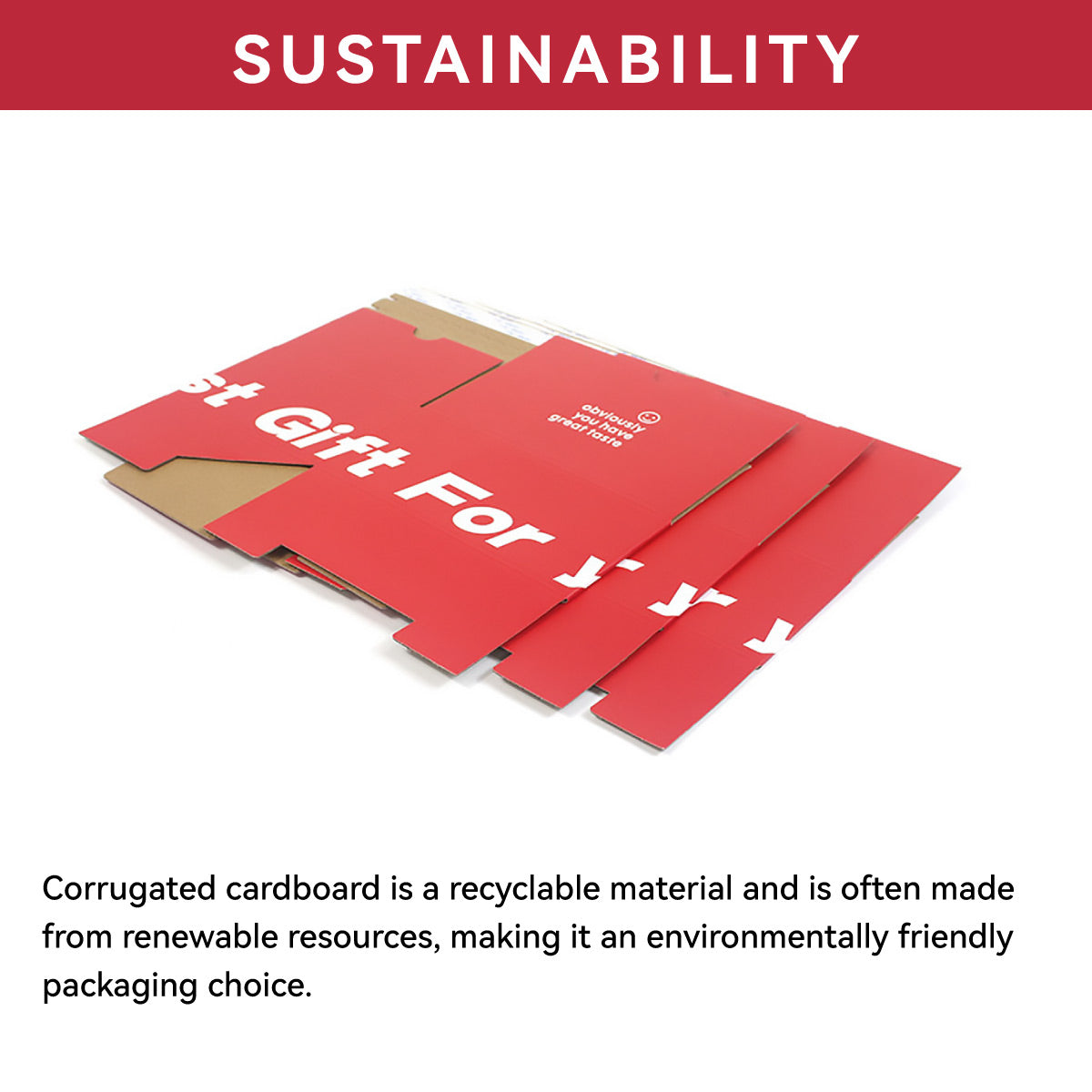 10 Pcs Corrugated Cardboard Boxes with Zipper Closure