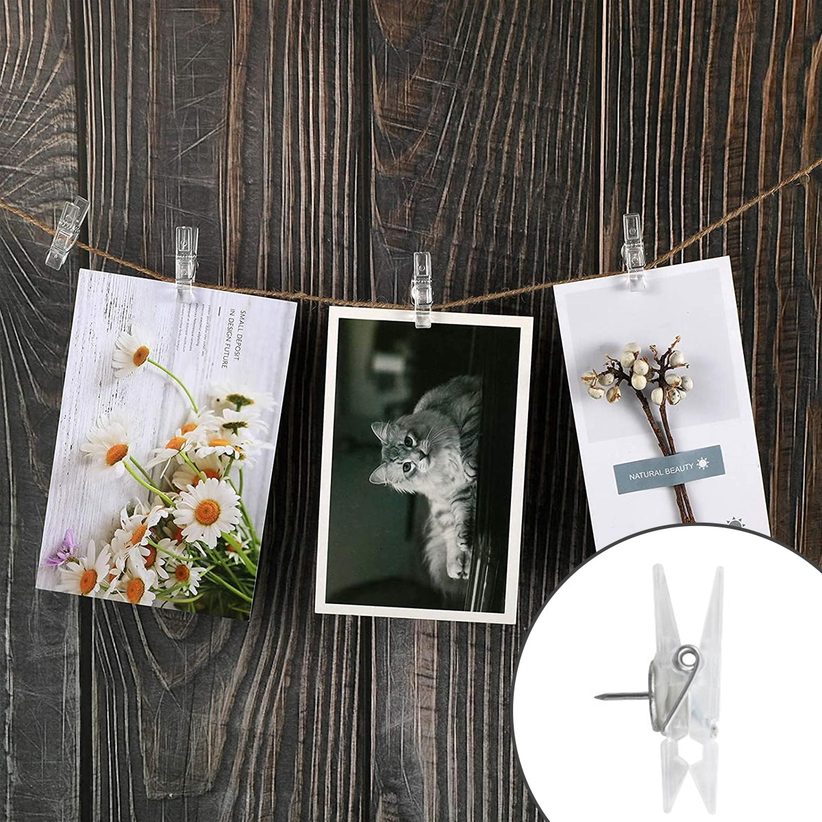 200 Pcs Office Bulletin Board Push Pins Set with Clips Pegs Hooks