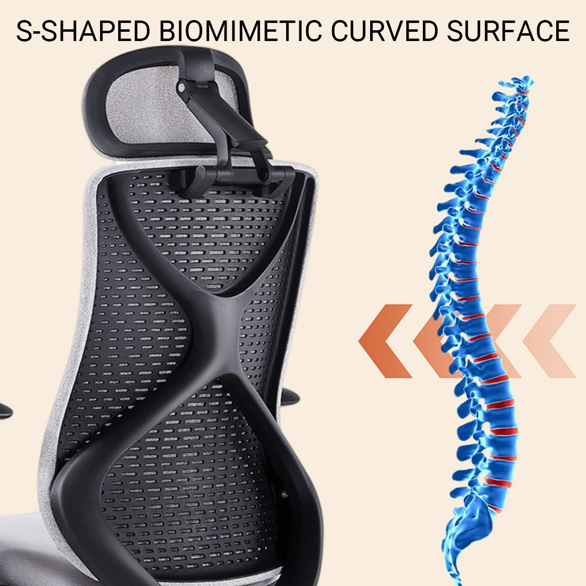 Ergonomic Office Chair with S-Shaped Backrest