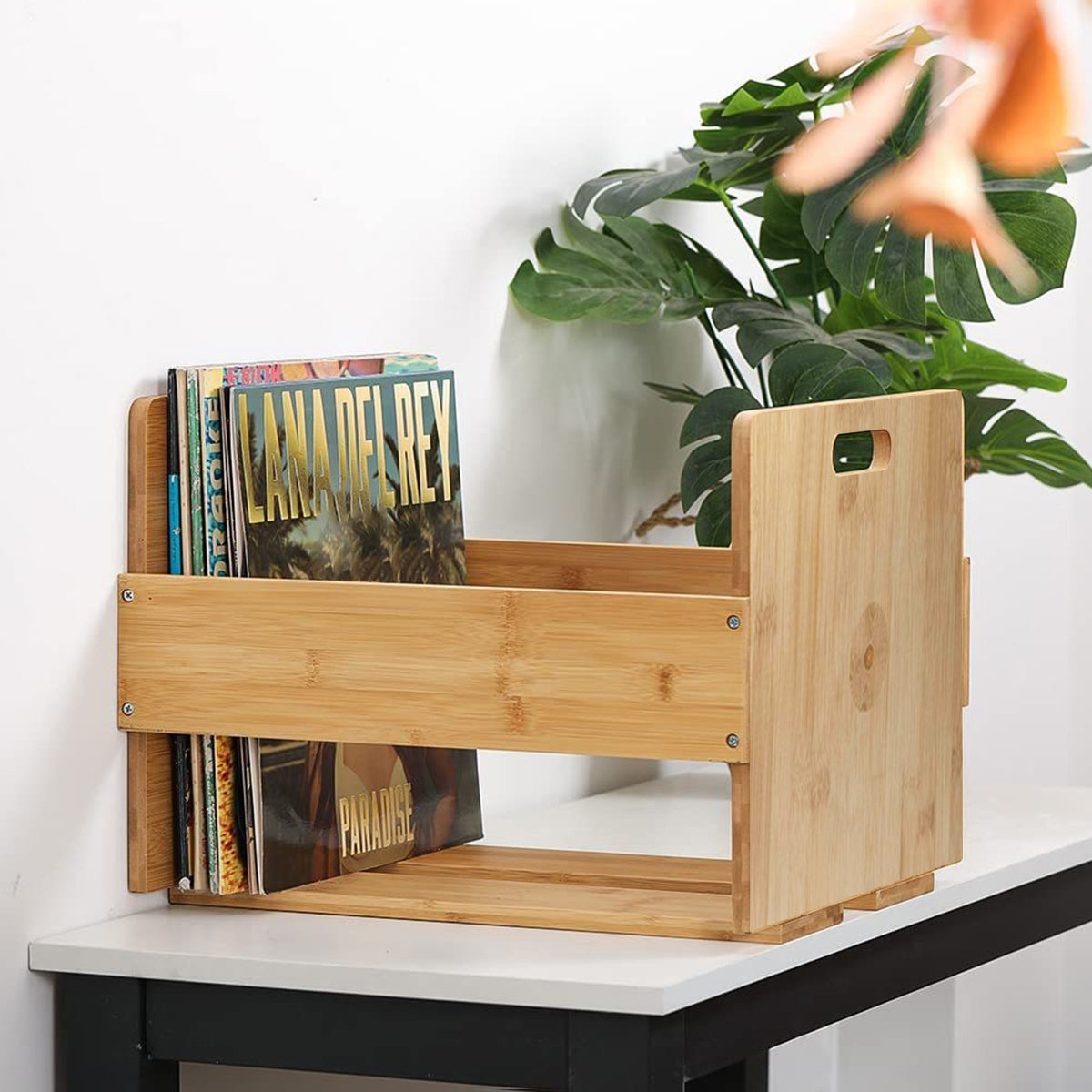 Bamboo Wood Vinyl Record Stand with Carry Handles
