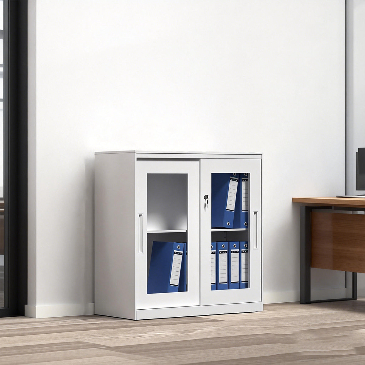 Lockable File Storage Cabinet with Clear Window