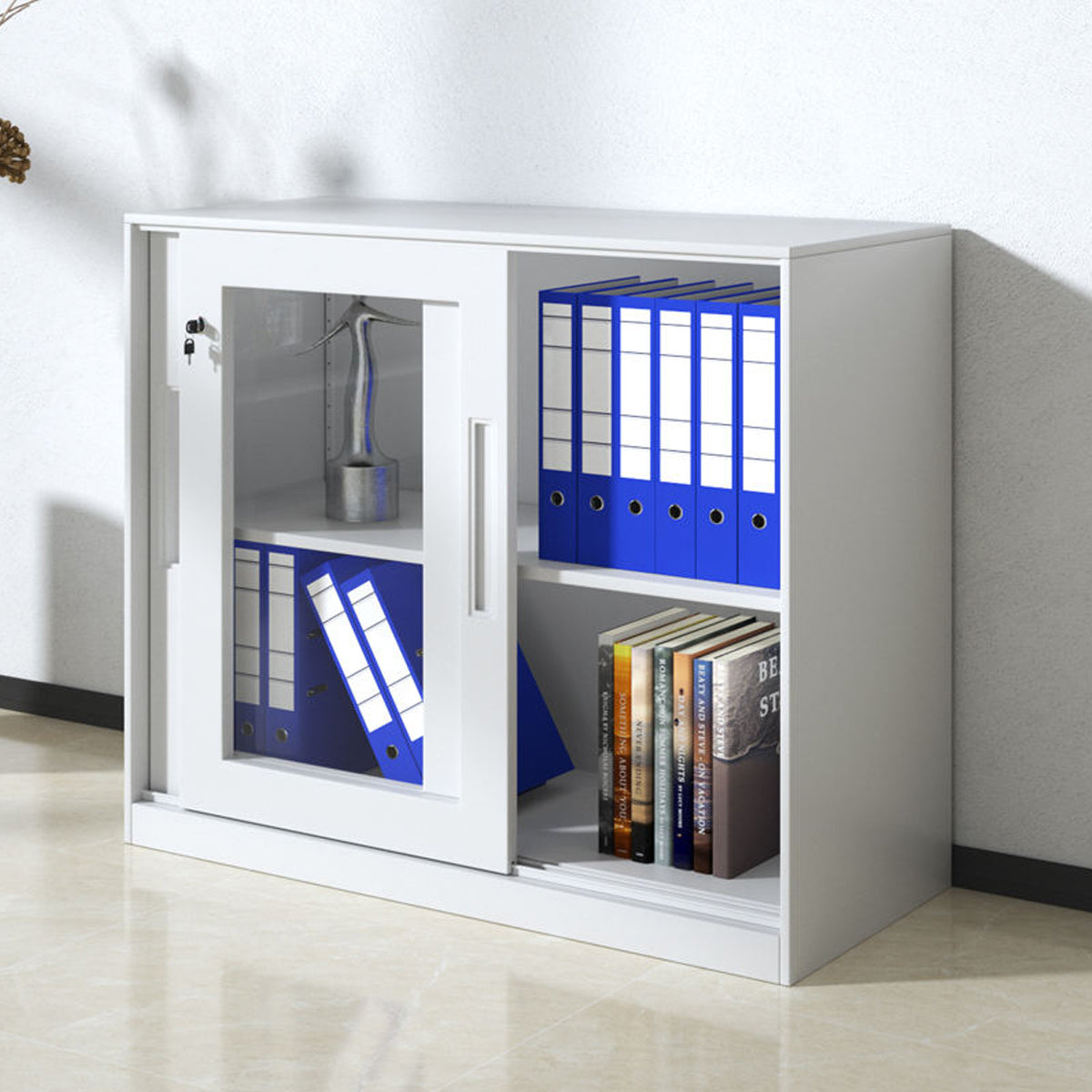 Lockable File Storage Cabinet with Clear Window