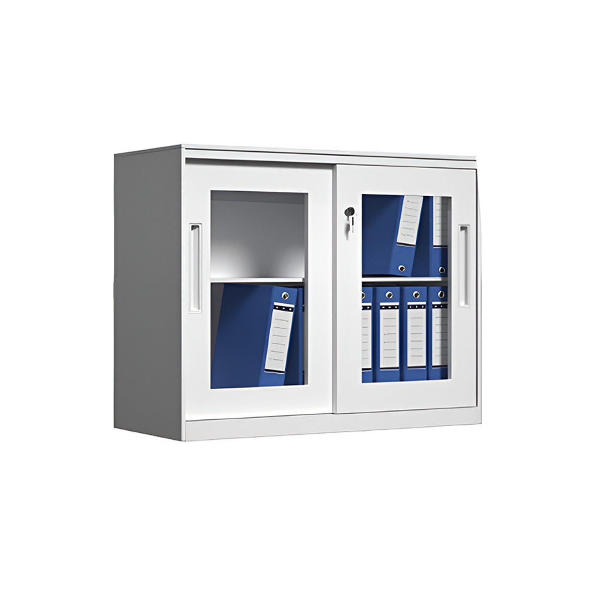 Lockable File Storage Cabinet with Clear Window