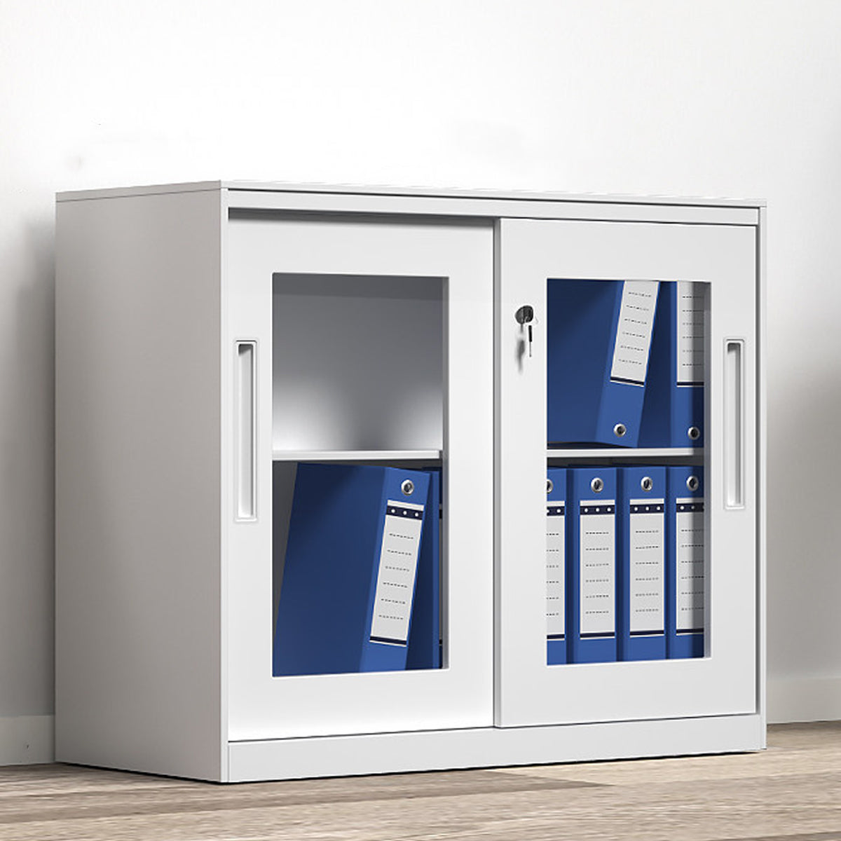 Lockable File Storage Cabinet with Clear Window