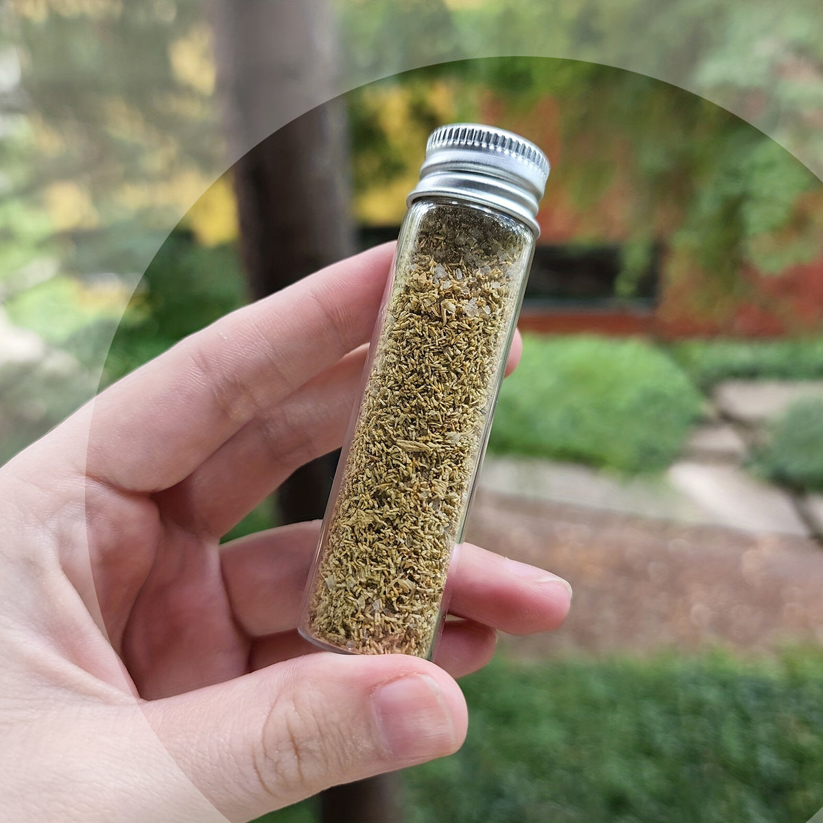 50pcs 20ml Glass Jars with Aluminium Screw Lid