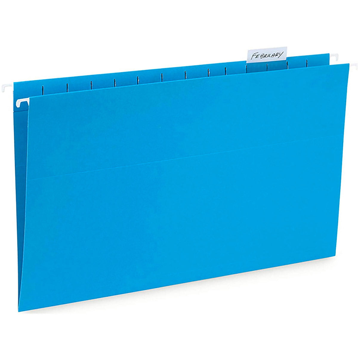 25 Pcs Foolscap Hanging File Folders with Tabs