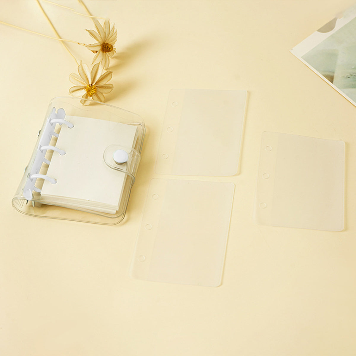 5 Pcs Mini PVC Binders 3-Hole Transparent Cover Assorted Colours