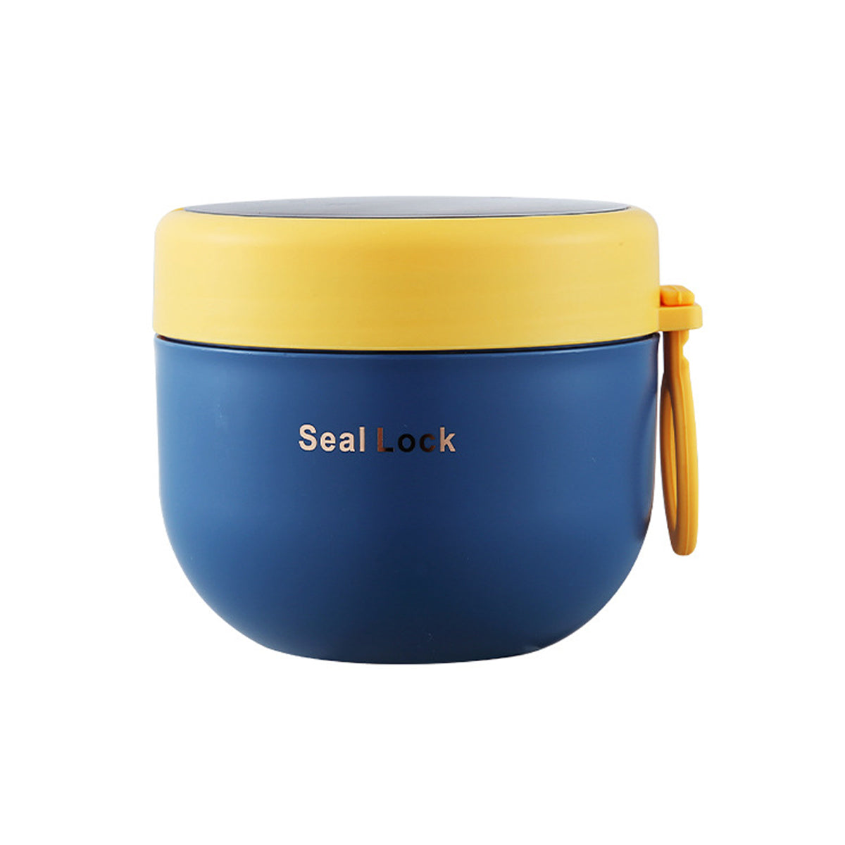 Stainless Steel Insulated Lunch Box 600ml