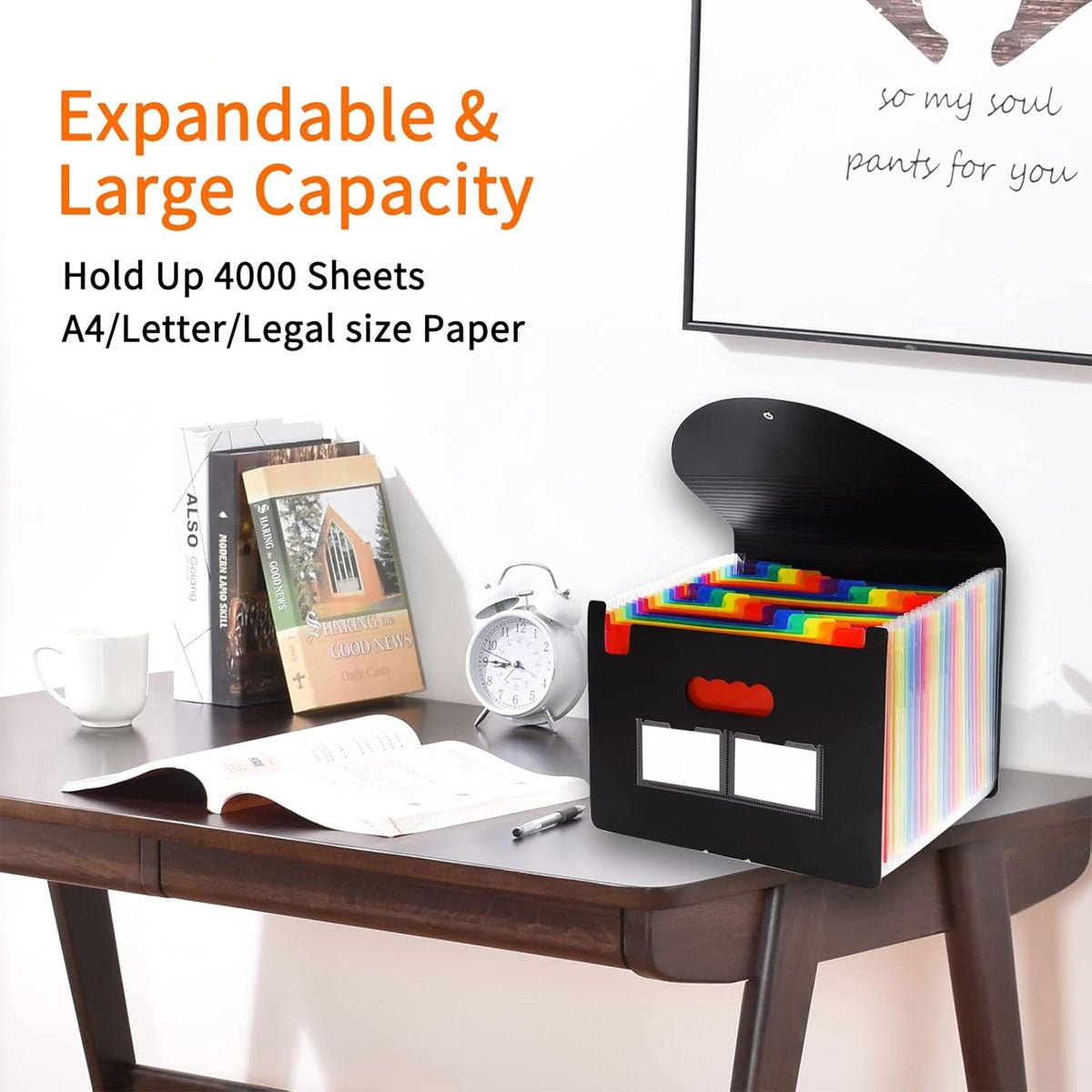 A4 Expanding File Organiser 25 Compartments with Handle