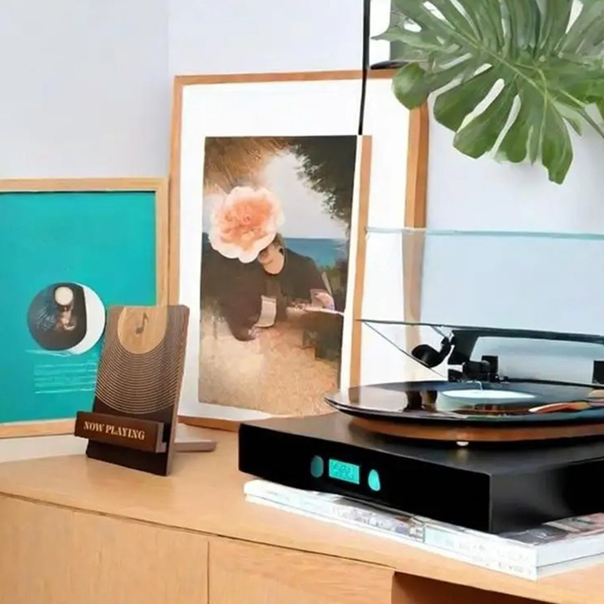 Solid Pine Wood Vinyl Record Storage Display Rack