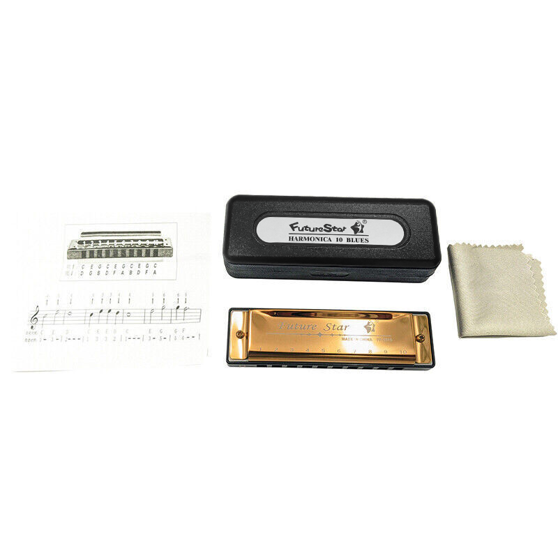 10 Hole Harmonica Blues Musical Instrument Key of C