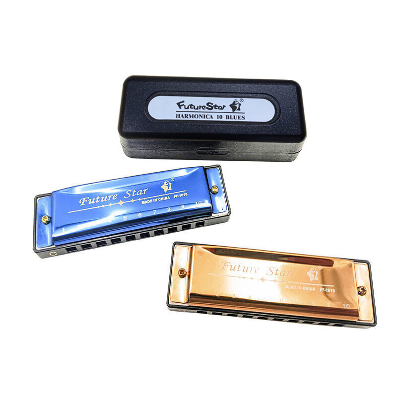10 Hole Harmonica Blues Musical Instrument Key of C