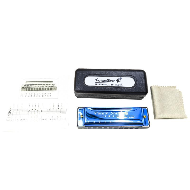 10 Hole Harmonica Blues Musical Instrument Key of C