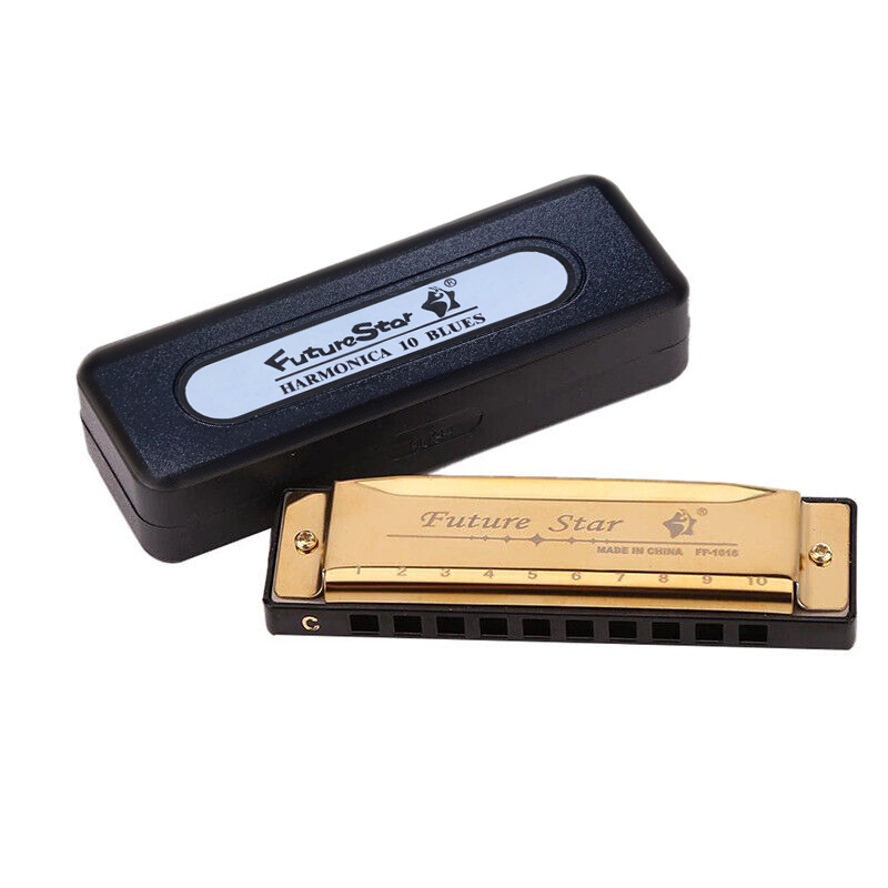 10 Hole Harmonica Blues Musical Instrument Key of C