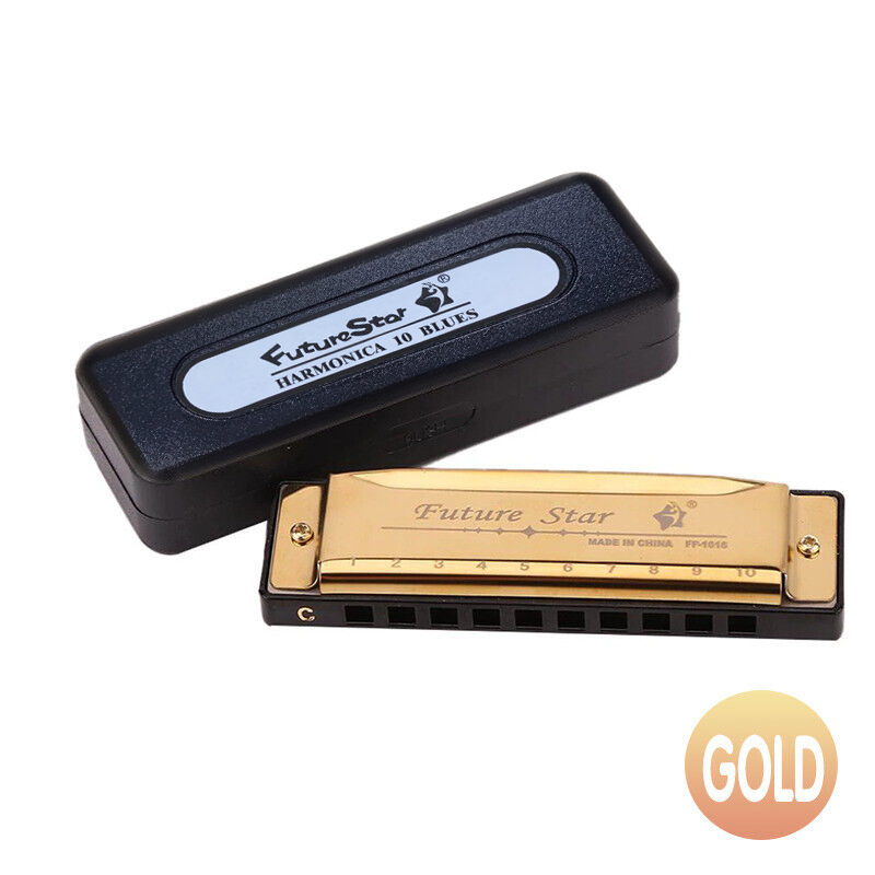 10 Hole Harmonica Blues Musical Instrument Key of C