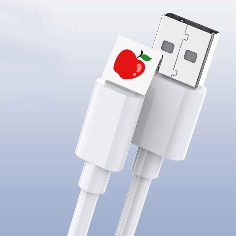 Fast USB Charging Cables for iPhone and iPad