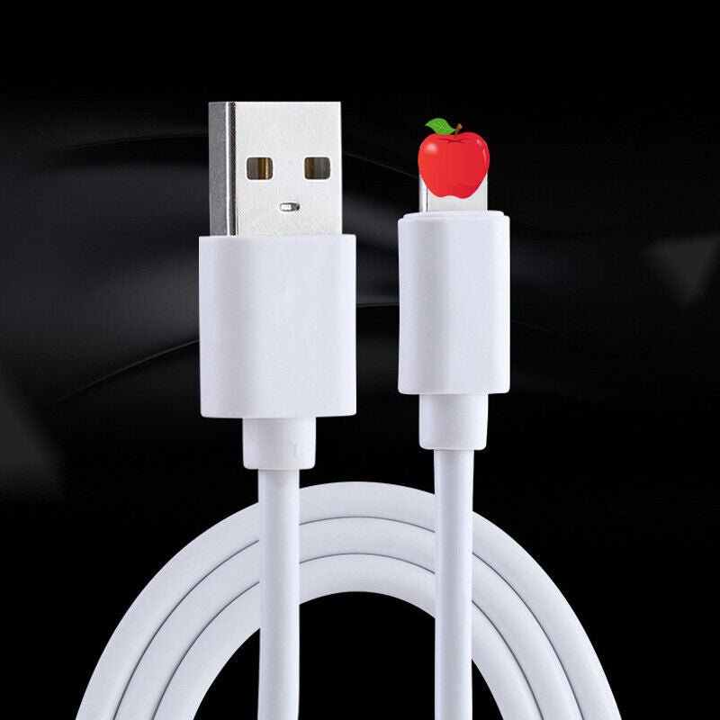 Fast USB Charging Cables for iPhone and iPad