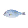 White Fish