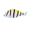 Striped Fish