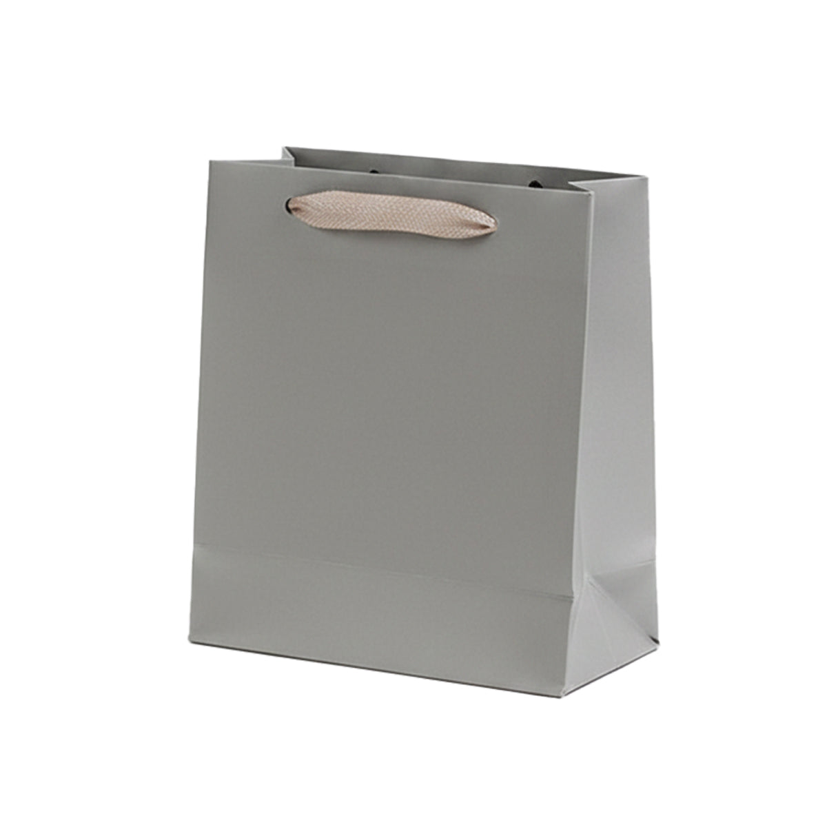10pcs Paper Gift Bags with Ribbon Handles
